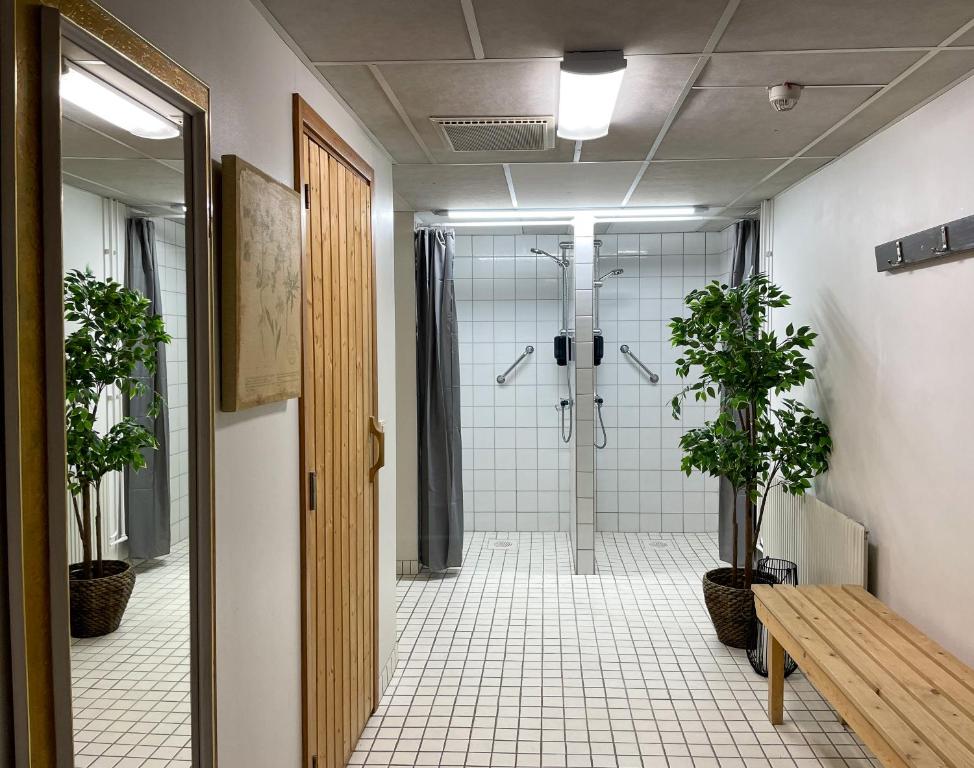 SäterSäters Stadshotell的浴室配有淋浴间和步入式淋浴间。