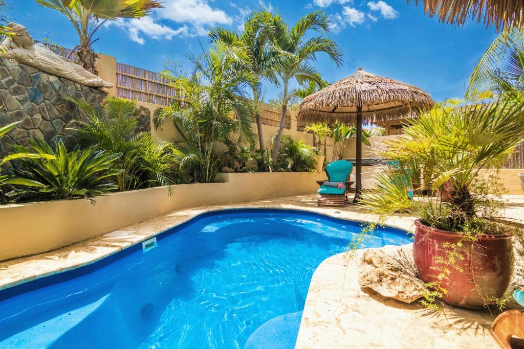 克拉伦代克Bamboo Bonaire Boutique Resort的一座游泳池,位于一个与度假村的庭院内
