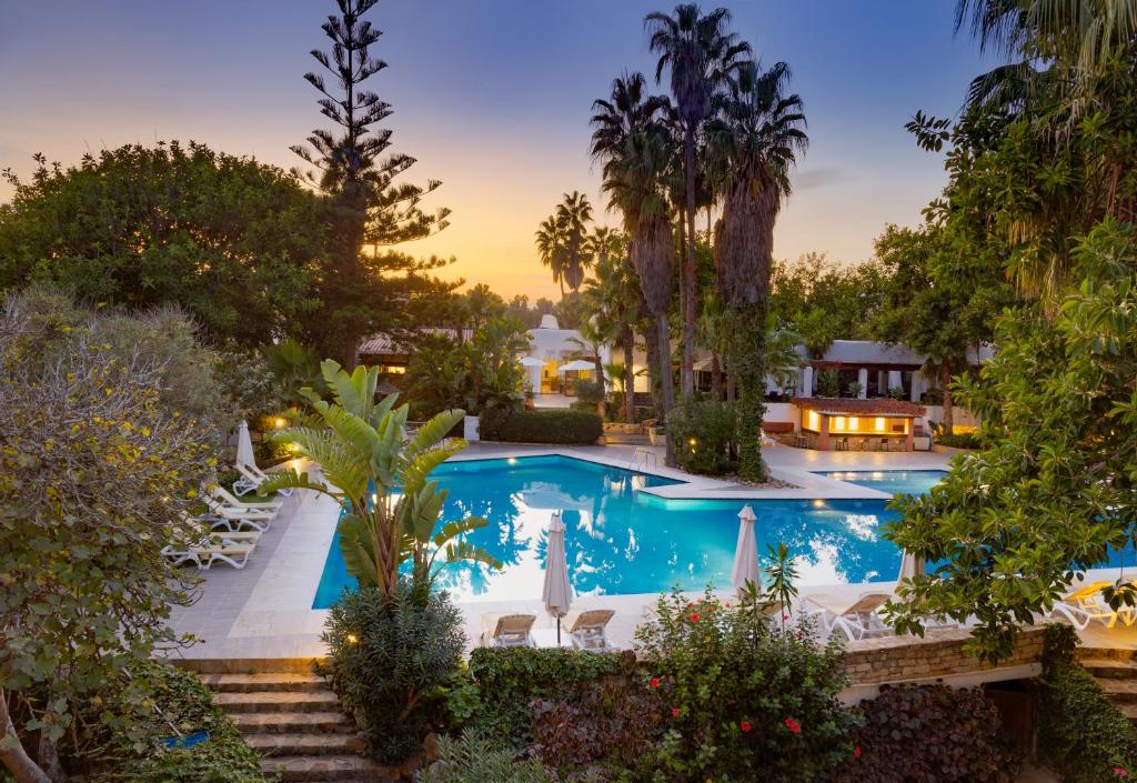 米迪克卡比拉酒店的棕榈树游泳池的形象