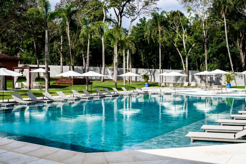 伊瓜苏Sanma Hotel的一个带躺椅和遮阳伞的大型游泳池