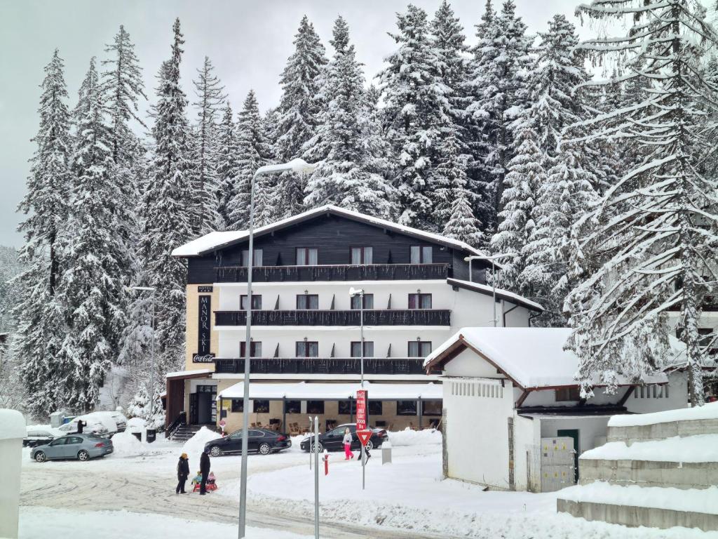 普雷代亚尔Manor Ski Hotel的一座大雪楼,有树
