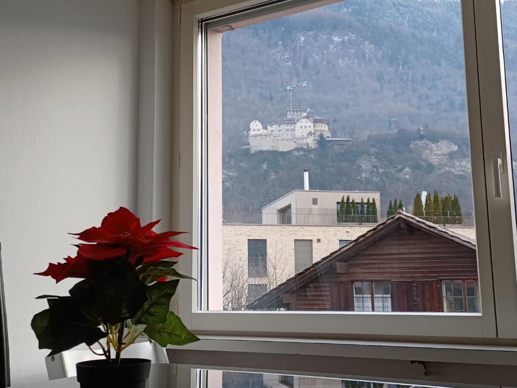 瓦杜兹Castle View Big Appartment Vaduz Center的花瓶里一扇花窗,靠近建筑物