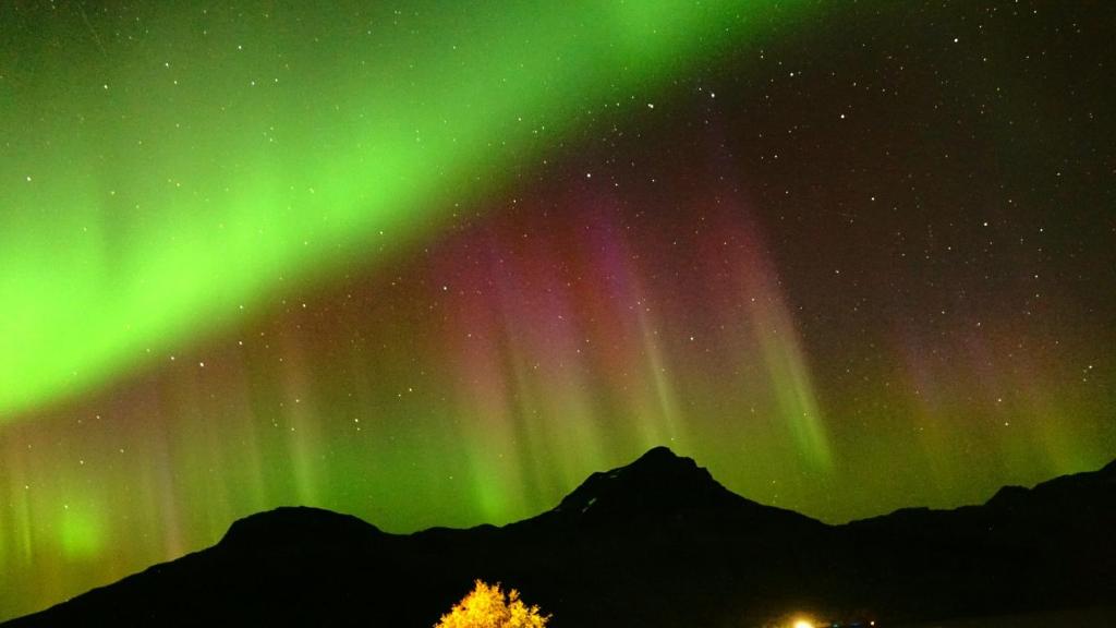 GratangenNorwegian Dream的天空中北极光的图像