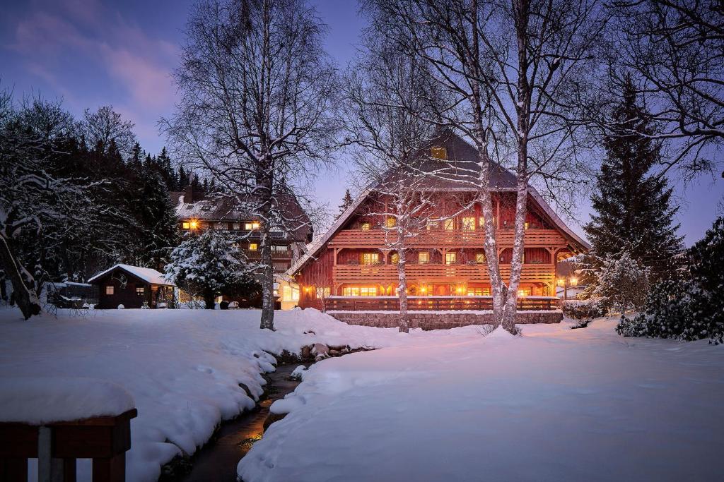 施卢赫湖Boutique Hotel Mühle Schluchsee的夜间大雪小木屋