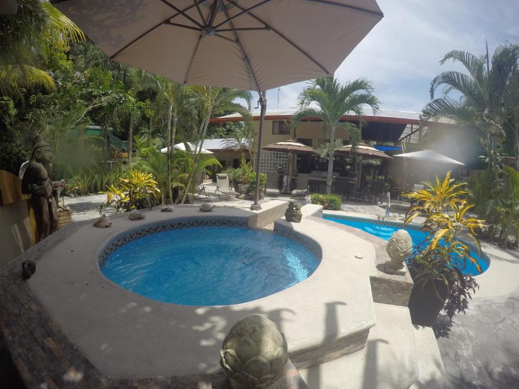 曼努埃尔安东尼奥Coyaba Tropical Elegant Adult Guesthouse的一座带遮阳伞的游泳池位于大楼旁