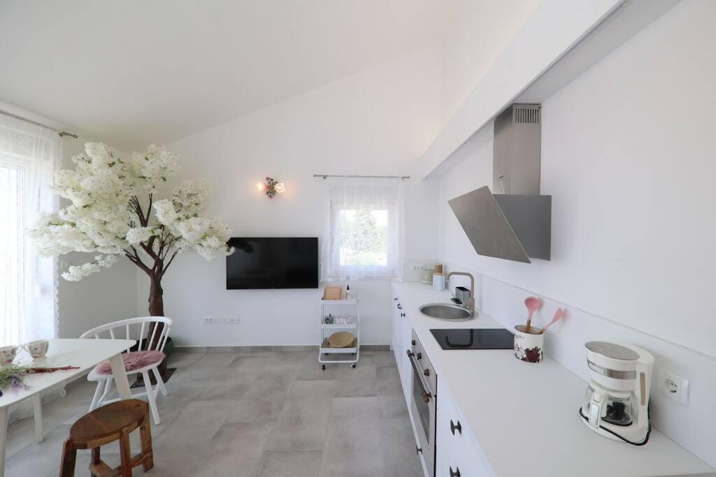 扎达尔Apartment Fiorino的白色的厨房,配有桌子和一棵树