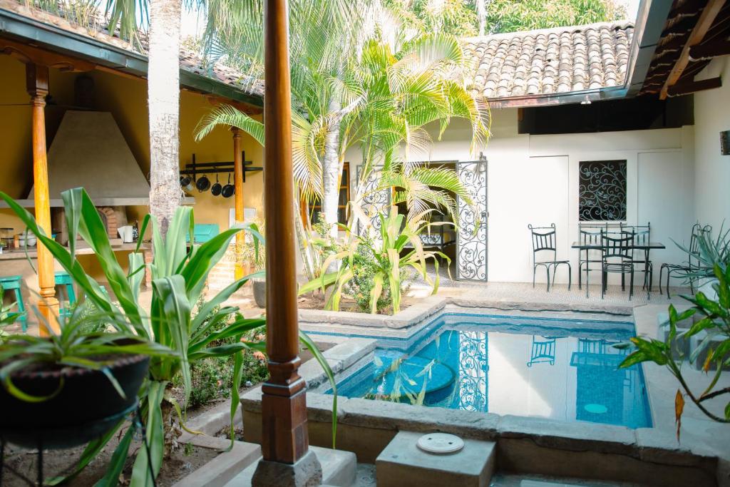 格拉纳达Miskitu casa boutique的棕榈树和植物的房子里的一个游泳池
