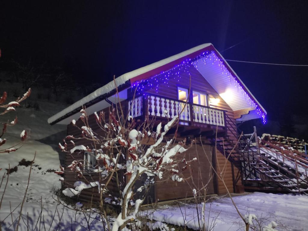 斯拉夫西克Котеджі Мелодія Карпат的一面有紫色灯光的房子