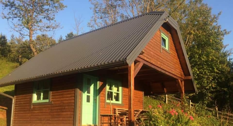 帕莱Vikedica Blagojević的小屋设有 ⁇ 屋顶和绿色窗户