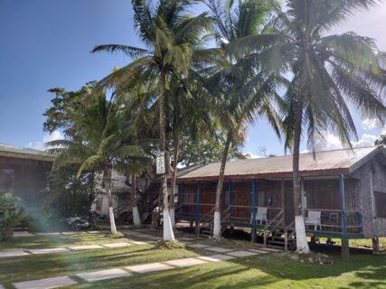 奥兰治沃克Lamanai Riverside Retreat的两棵棕榈树在房子前面