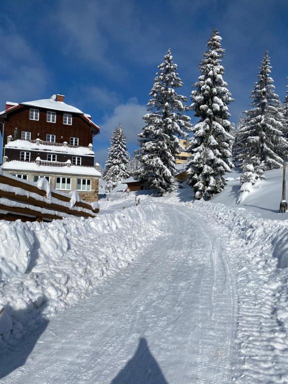 旧哈姆里Apartmán Meluzína的一条有雪覆盖的道路,在一座树木繁茂的房屋前