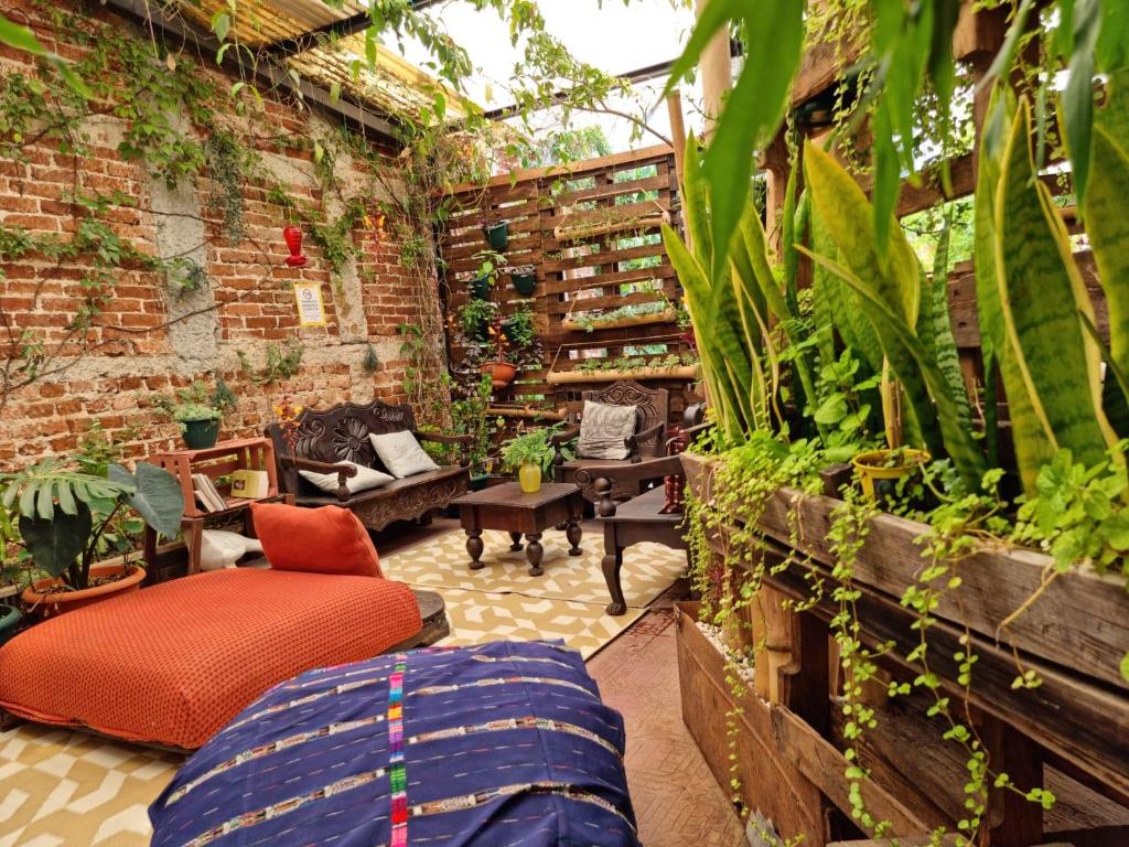 危地马拉ESTU habitaciones的户外庭院,种植了植物