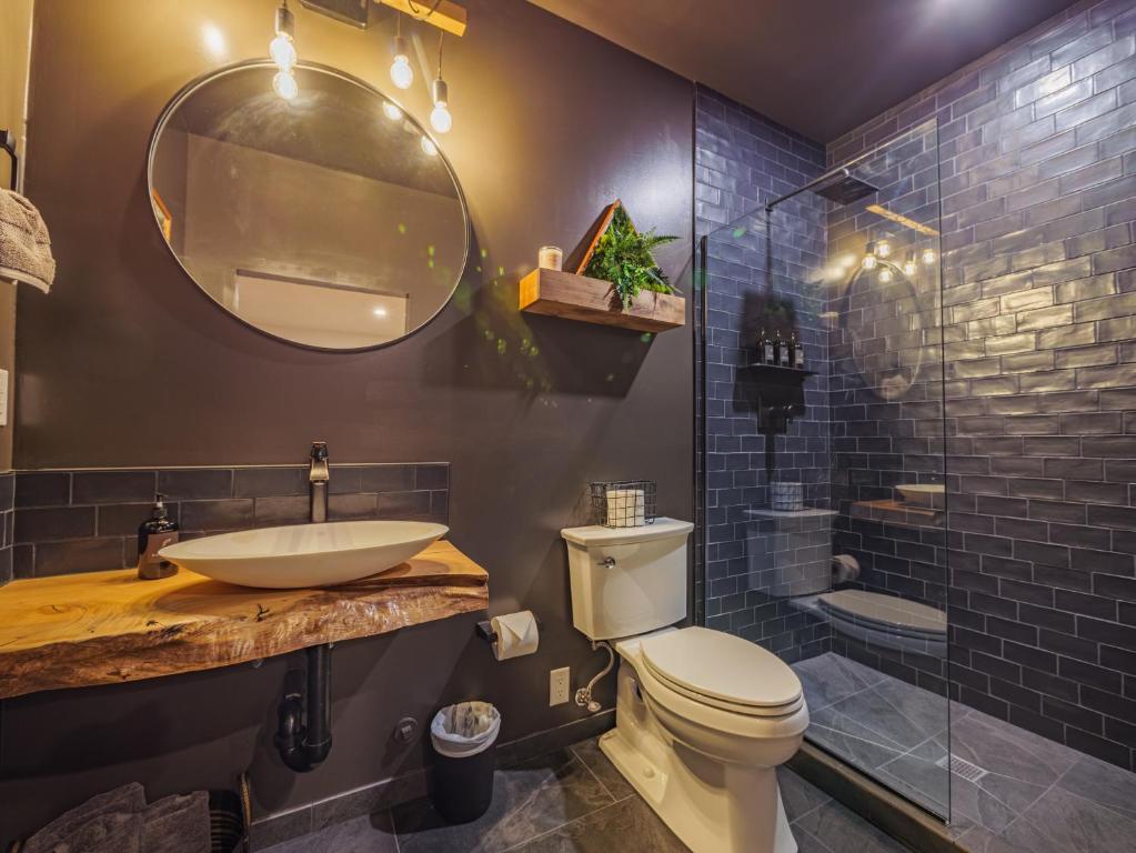 尤克卢利特Winter's Hideaway Suite的一间带水槽、卫生间和淋浴的浴室