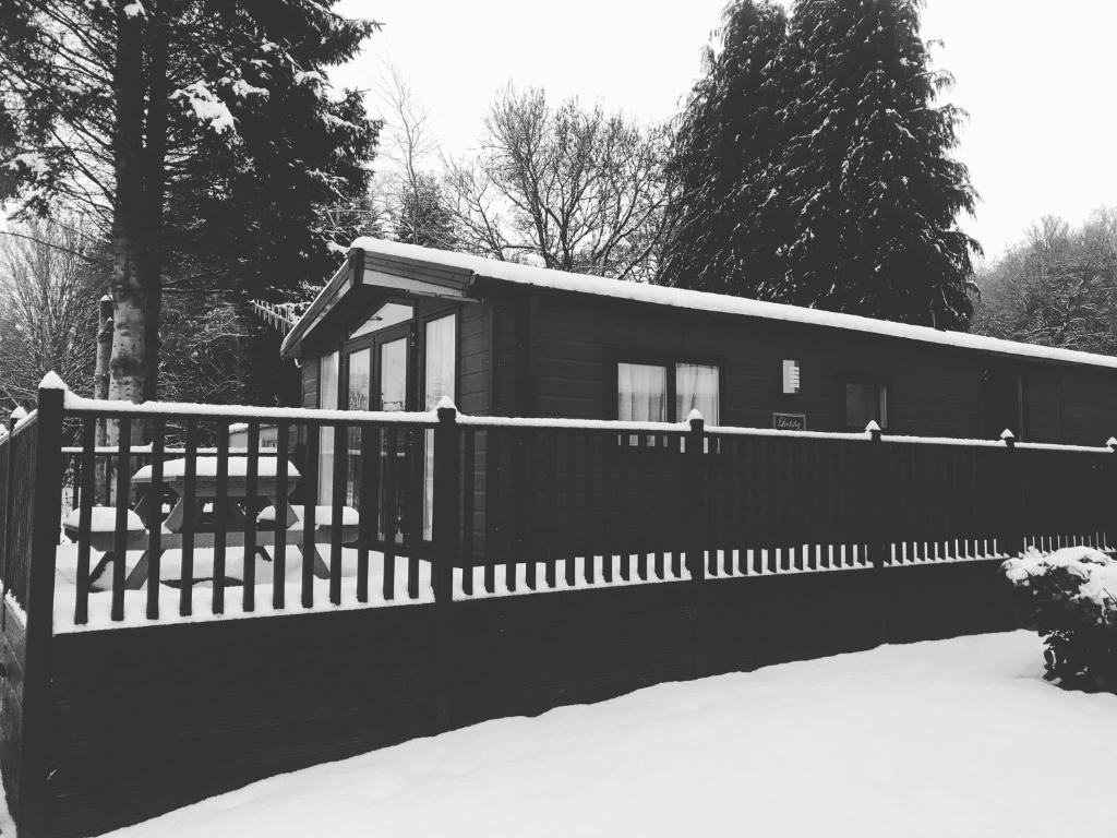 DollarRavenwood Lodge的雪中带围栏的房子