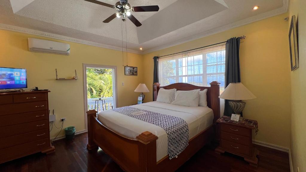 安东尼奥港All Nations Guest House的一间卧室配有一张带吊扇的床和一台电视。