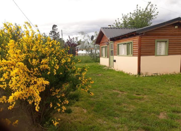 埃博森La casa de la abuela Cabaña的院子中一座房子和一片灌木,花朵黄色