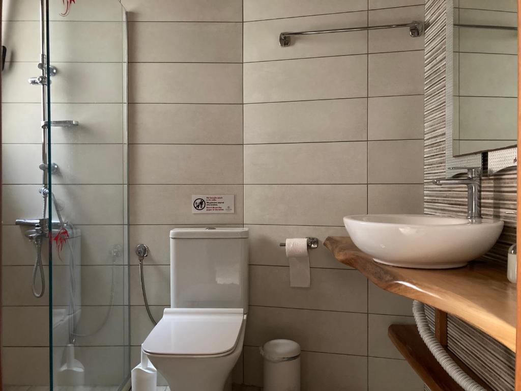 斯塔夫罗斯KoNaKaRi Garden的浴室配有卫生间、盥洗盆和淋浴。