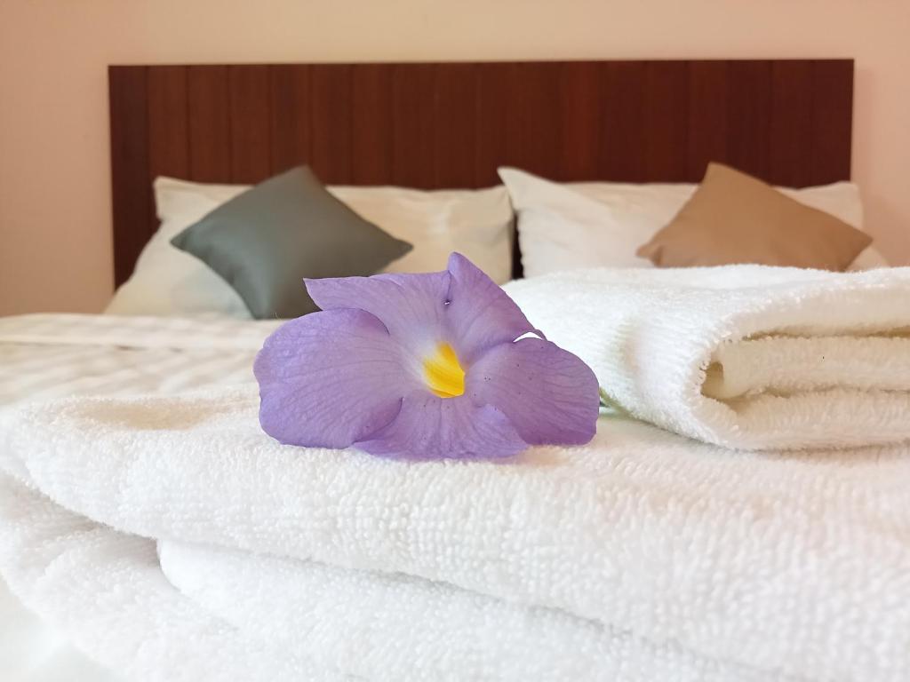 Ban Mo NaeCOWORX Koh Lanta的床上一朵紫色的花