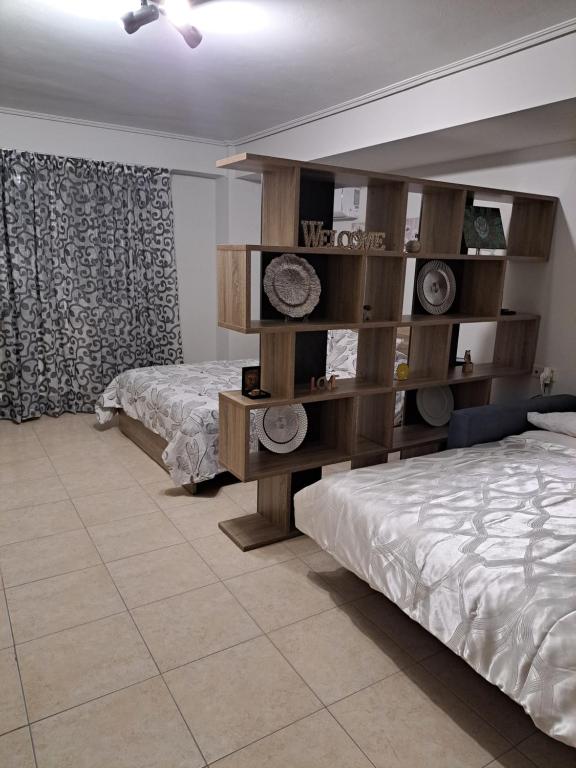 卡罗维西C & D Karlovasi apartment的一间卧室设有两张床和书架