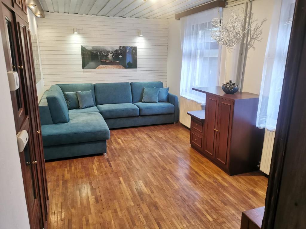 克拉尼斯卡戈拉Cosy Lake的客厅设有蓝色的沙发和木地板