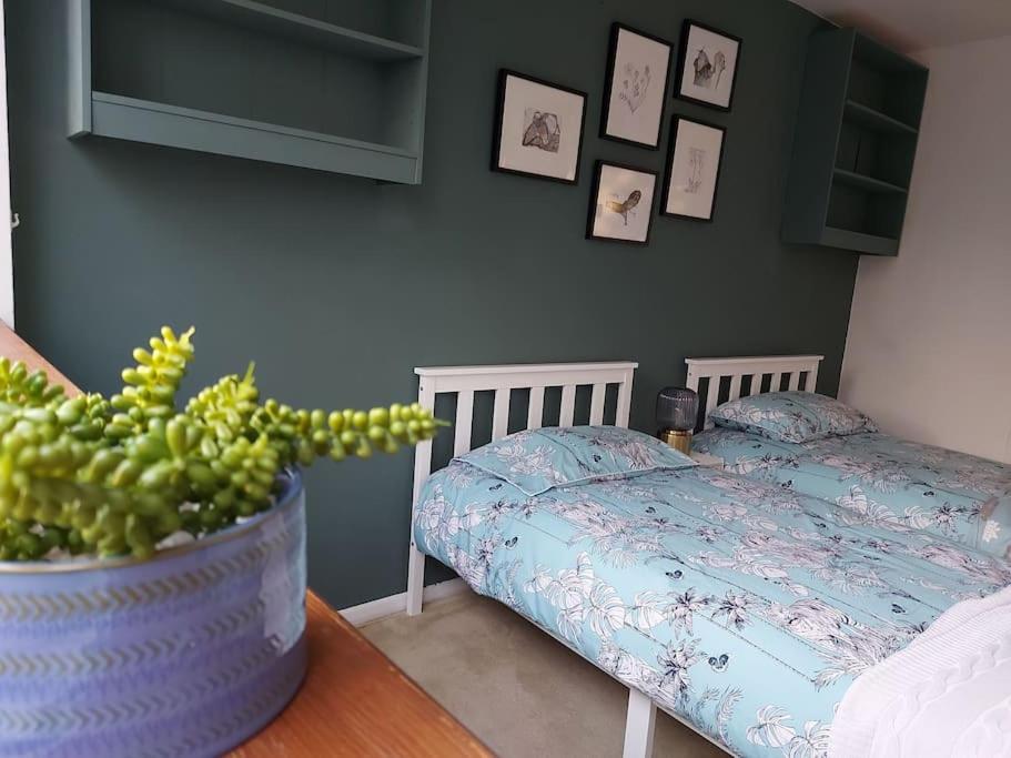 伦敦2 bed flat, Bounds Green, Piccadilly line, London N11的一间卧室配有一张床和一张植物桌子