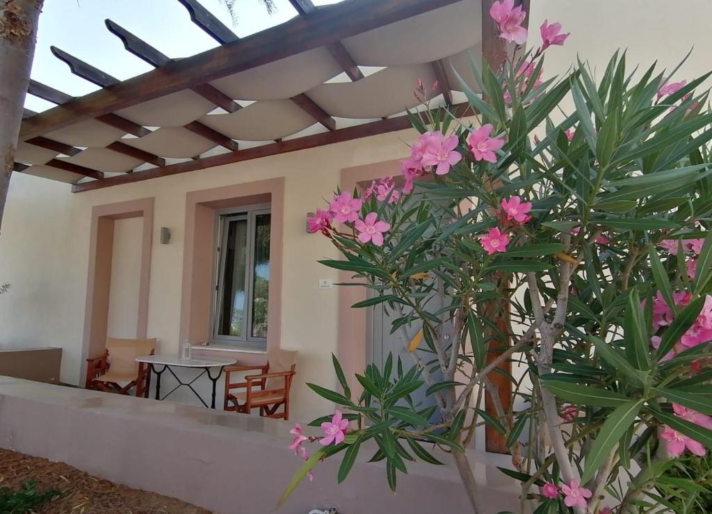 索瓦拉Oinoni's Home - ACHILLES studio的前院有粉红色花的房屋