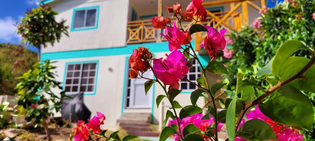 普罗维登西亚Colorful Garden House的前面有粉红色花的房子