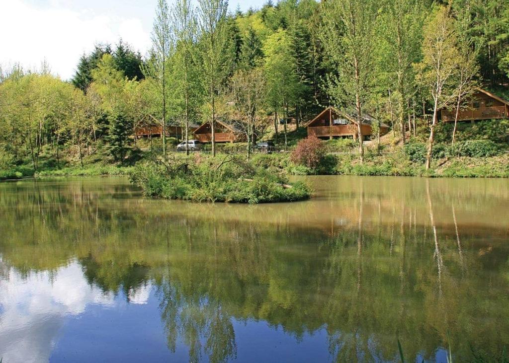 因斯托Bulworthy Forest Lodges的享有湖泊美景,设有房屋