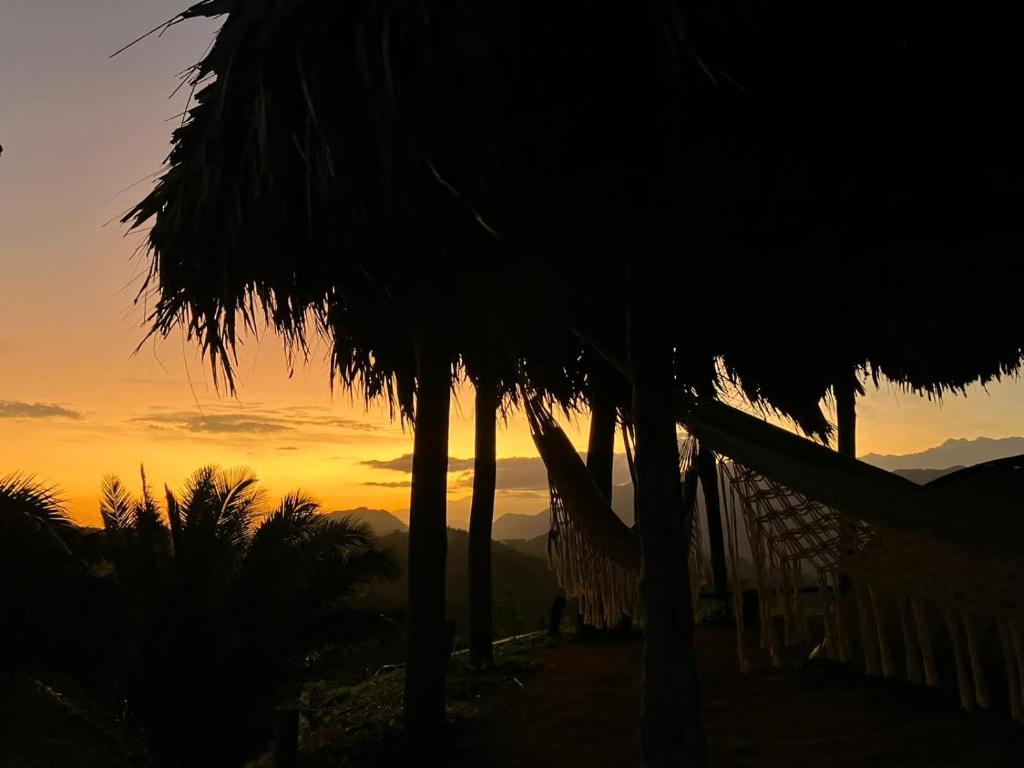 圣玛尔塔La Cima Tayrona的日落时分拥有棕榈树和吊床的度假村
