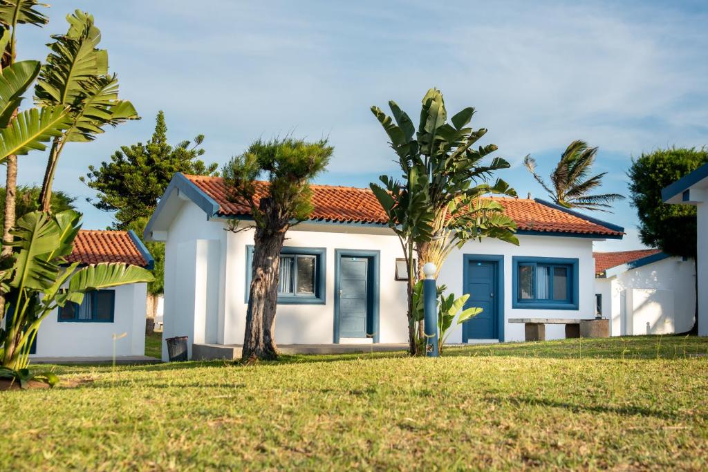 蓬塔杜欧鲁Ponta Mar Resort的前面有棕榈树的房子
