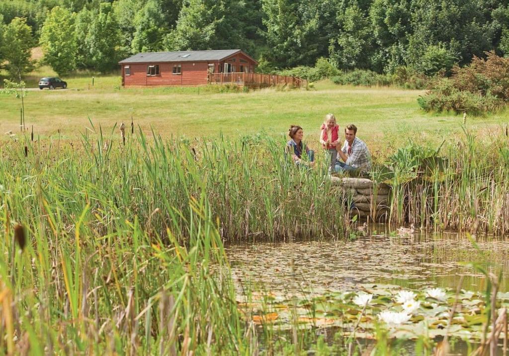 Little BaddowWarren Lodges的一群三人坐在池塘附近的木柴上