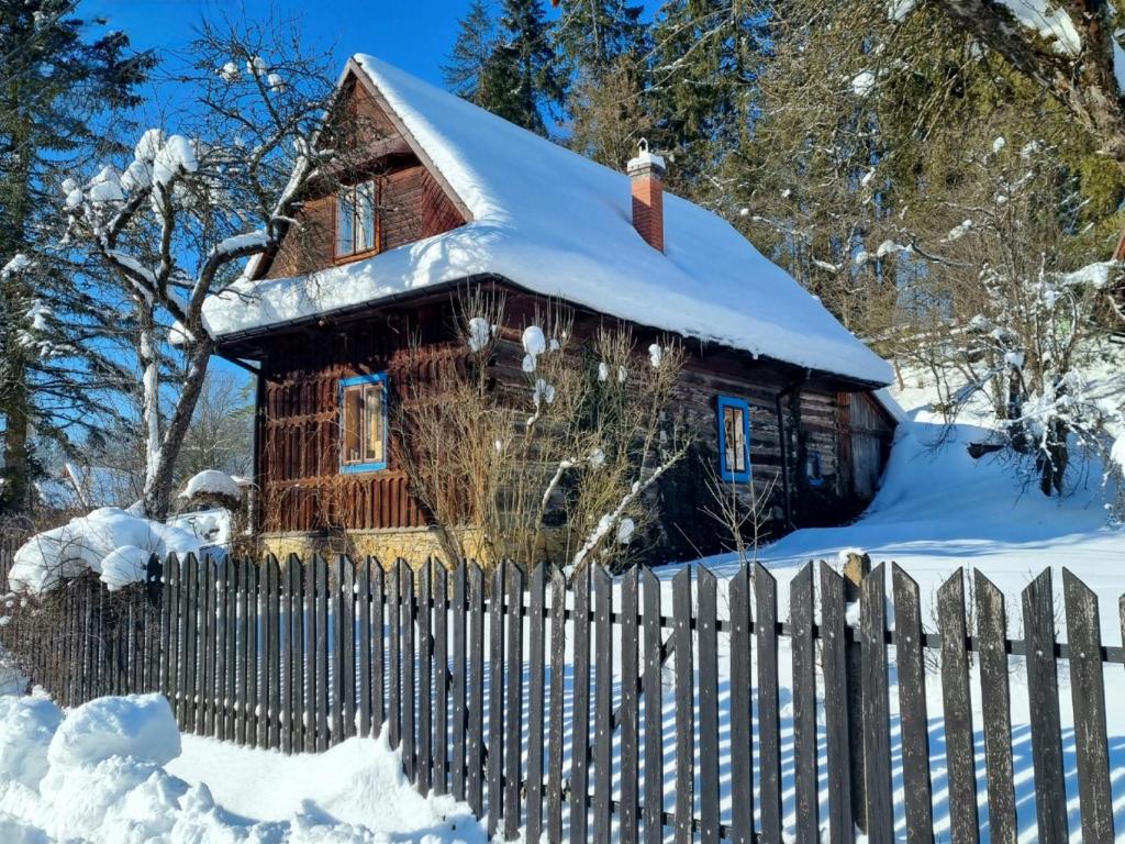 拉普斯尼恩Miodowa Chata的雪地小木屋,带栅栏