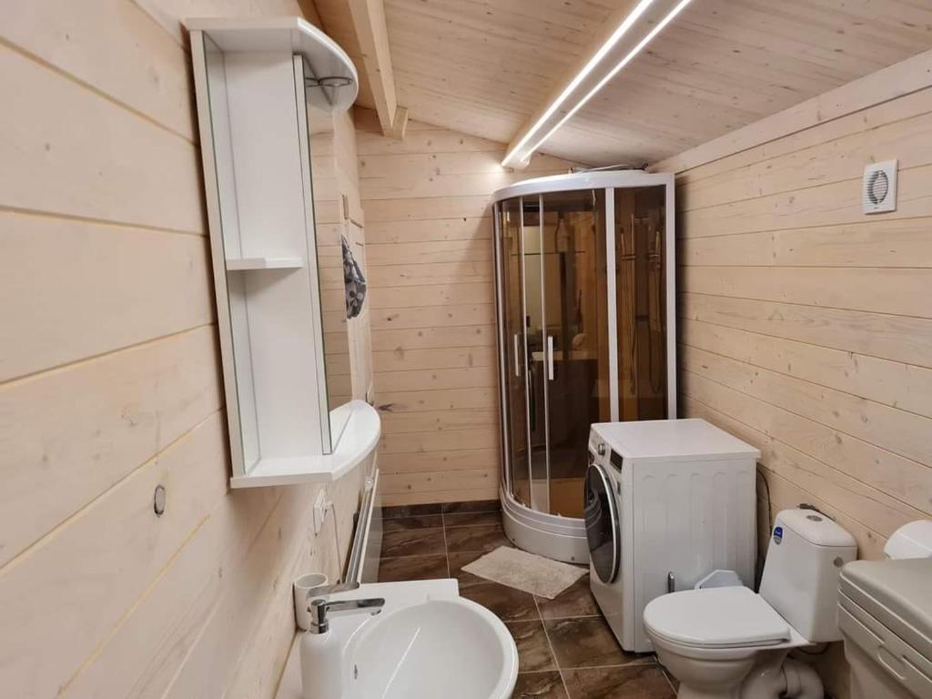 Sodybos Narūnas namelis po egle的一间带卫生间和淋浴的小浴室