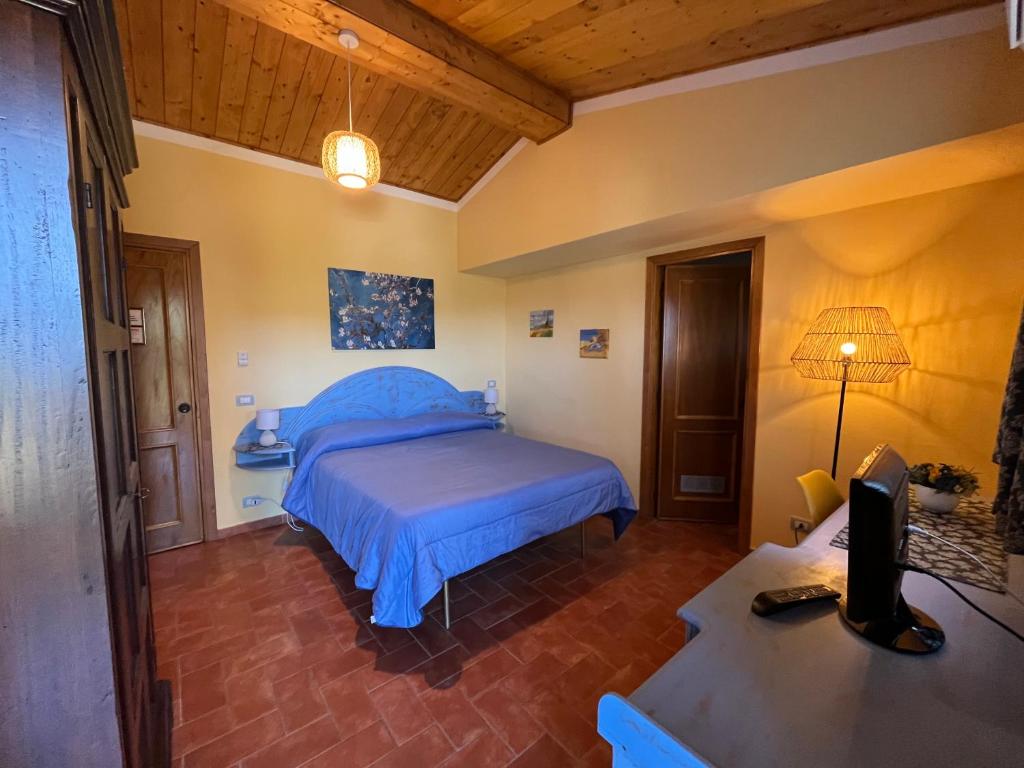 蒙特梅拉诺Agriturismo Poggio del Drago的一间卧室配有一张床和一张书桌及电视