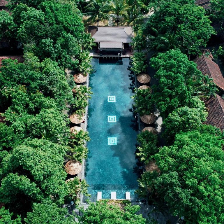 顺化朝圣乡村精品Spa度假村的享有树木游泳池的空中景致