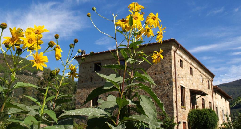 卡尔奇阿尔帕拉萨其奥农家乐的一座古老的建筑,前面有黄色的花朵