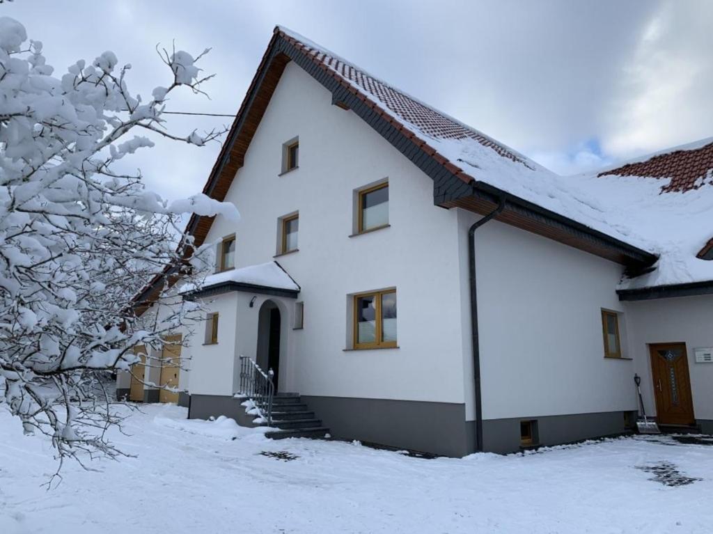 黑伦塔尔Ferienwohnung Eifelhöhe Pützer的屋顶上白雪的房子