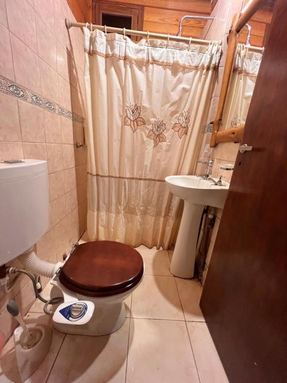 拉里奥哈Cabaña的一间带卫生间和水槽的浴室