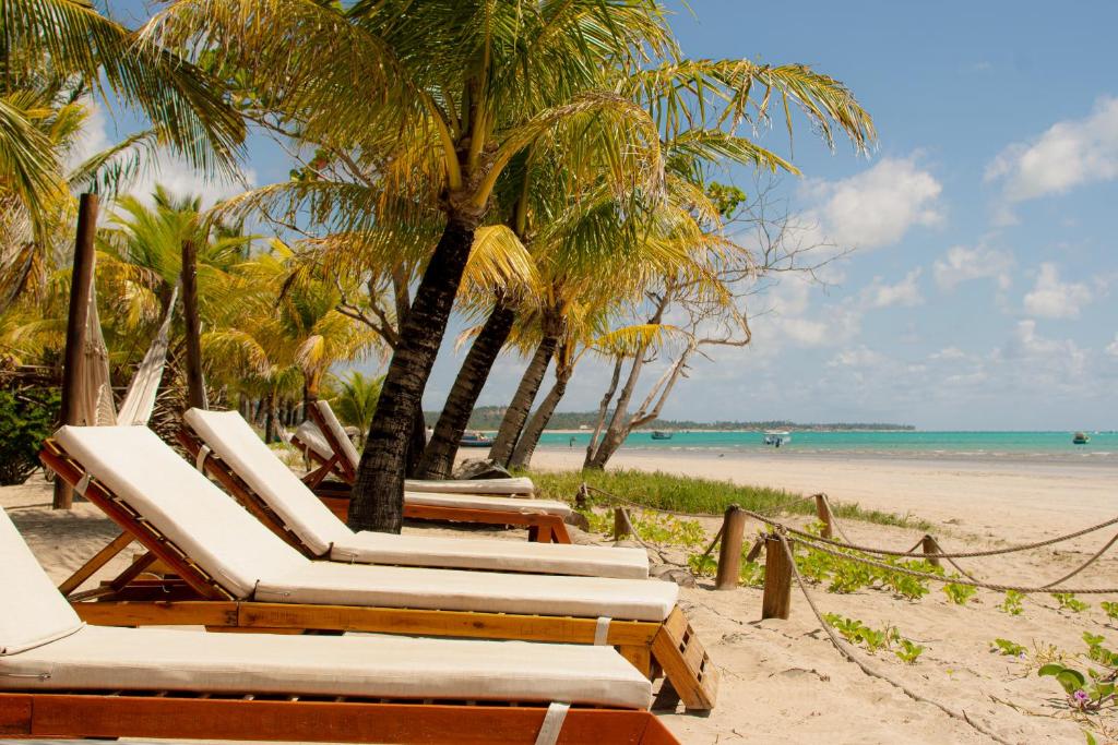 马拉戈日Pousada Enero的棕榈树海滩上的一排躺椅