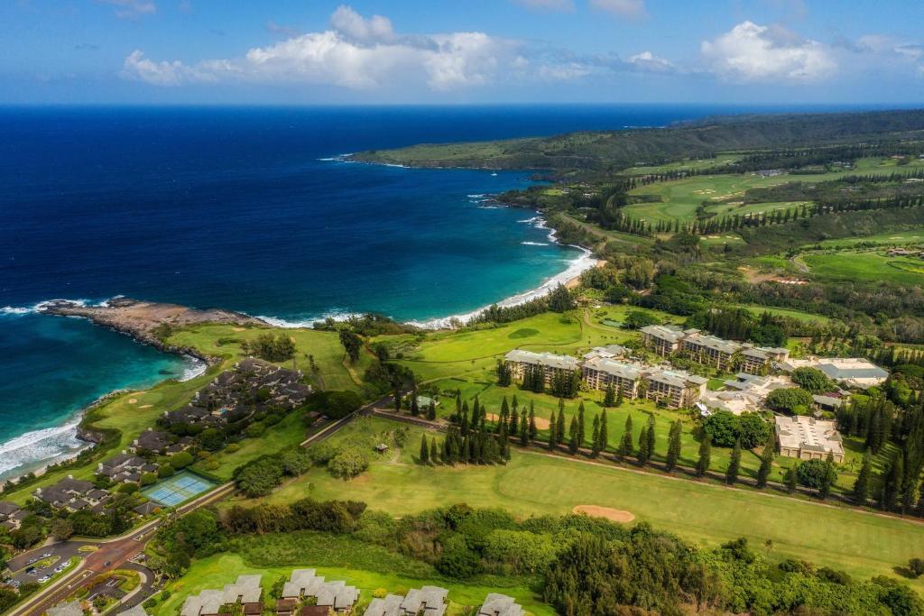 拉海纳The Ritz-Carlton Maui, Kapalua的近海度假胜地的空中景致