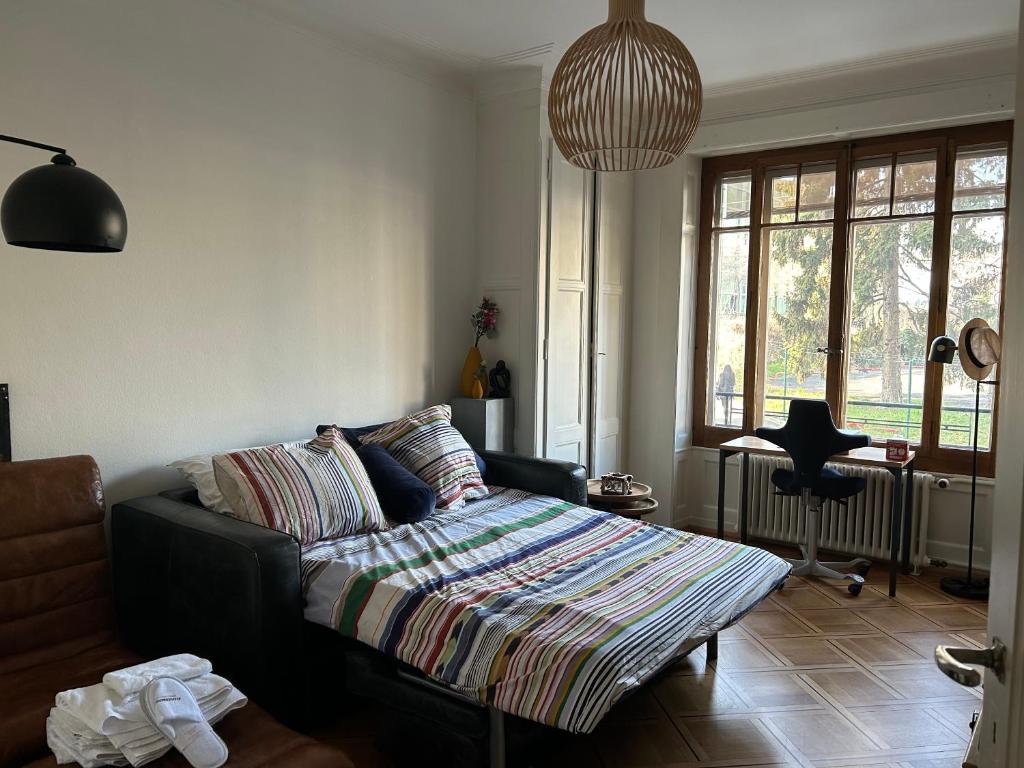 日内瓦Chambre, bedroom - Perle du Lac, Geneva的带沙发和大窗户的客厅