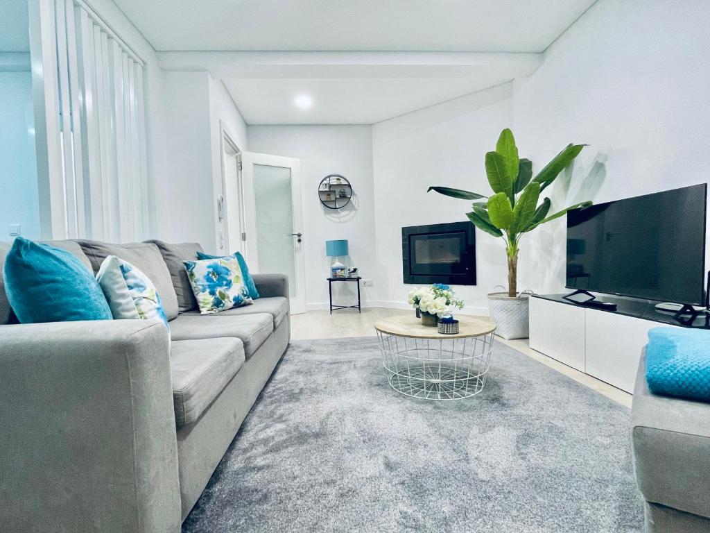 阿威罗Central Tiled Apartment的带沙发和电视的客厅
