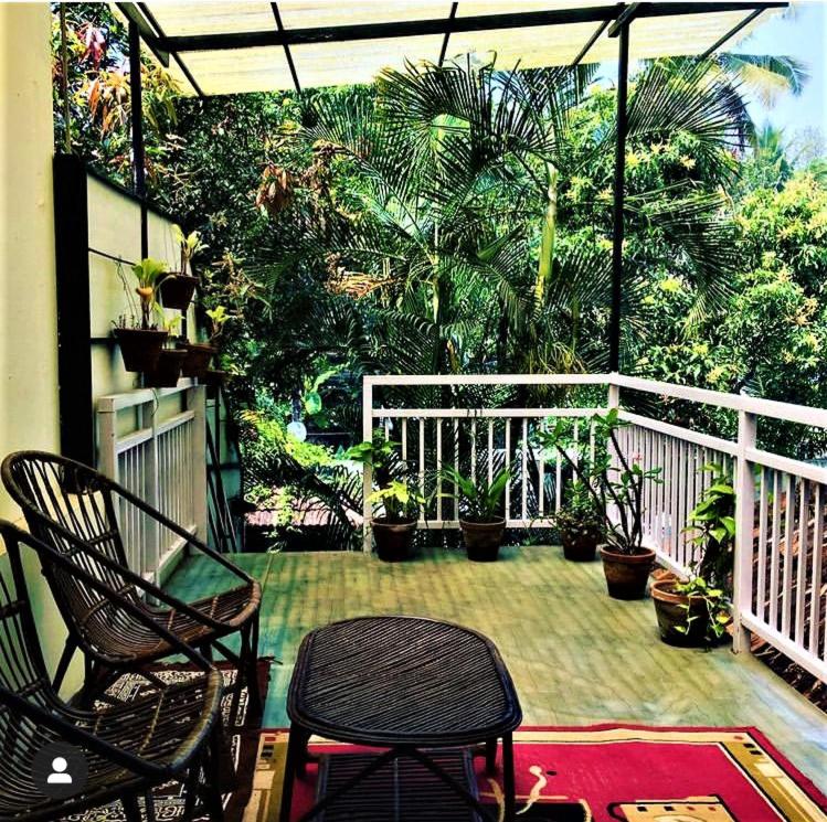 马拉利库兰Marari Dreamz Homestay的阳台配有两把椅子和一张桌子,种有植物