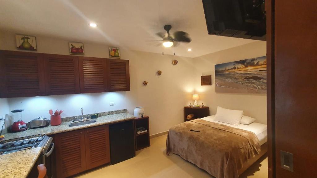 女人岛Coralito Malecon Luxury Studio的一个带床和水槽的厨房
