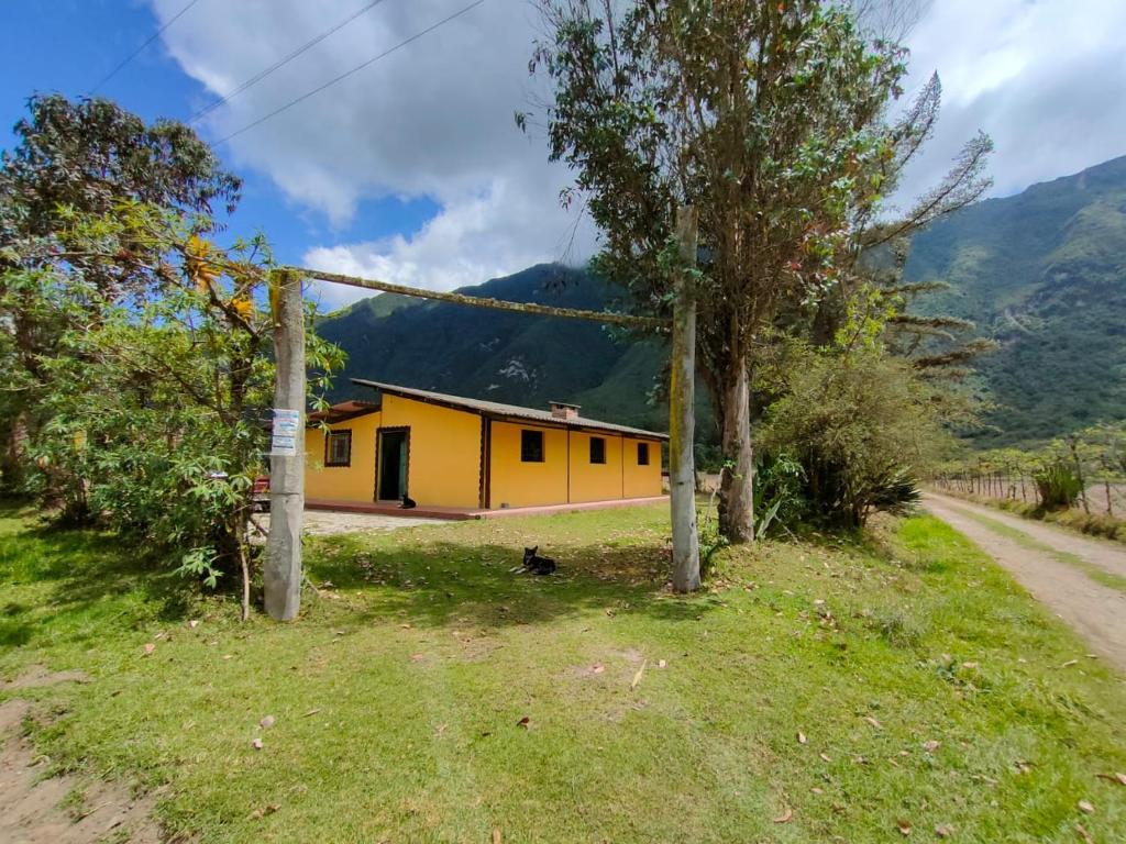 基多Pululahua Magia y Encanto的路旁的黄色房子