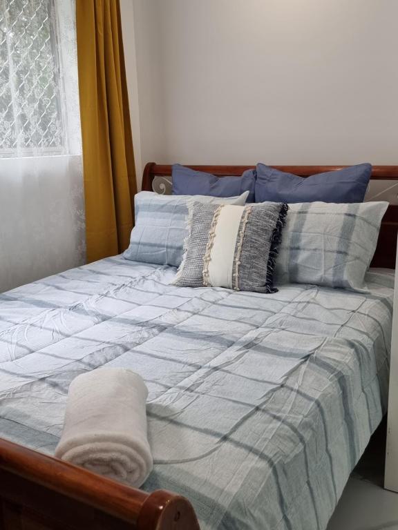洛甘利The Lux Guest House的一张铺有蓝色和白色床单的床和窗户