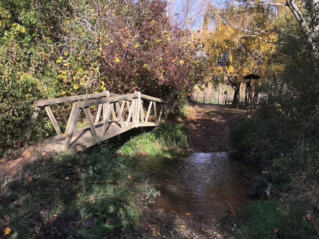 TorrellesCasa Rural Hospital de las Palabras的森林中一条小溪上的木桥