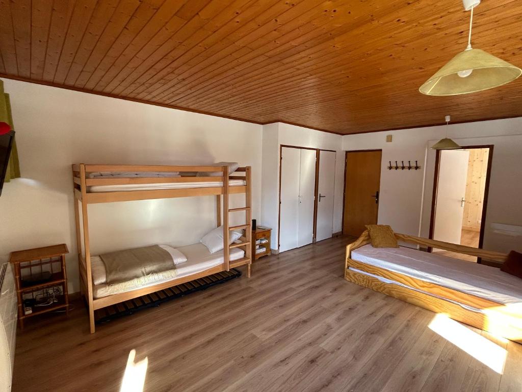 沙泰勒Appartement EDELWEISS的配有木天花板的客房内的两张双层床