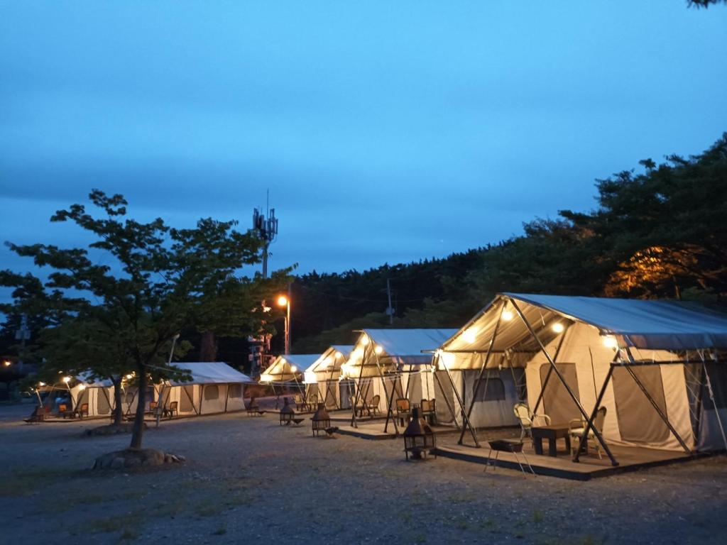 泰安Club Lespia in Taean的夜晚在停车场的一排帐篷
