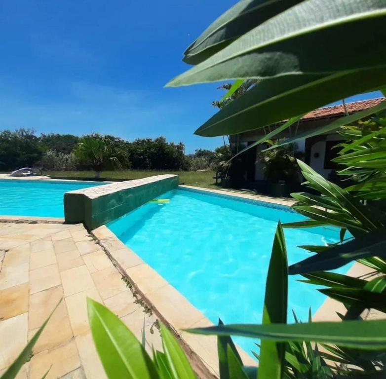 萨夸雷马POUSADA ARKAN BEACH的拥有蓝色海水和绿色植物的游泳池